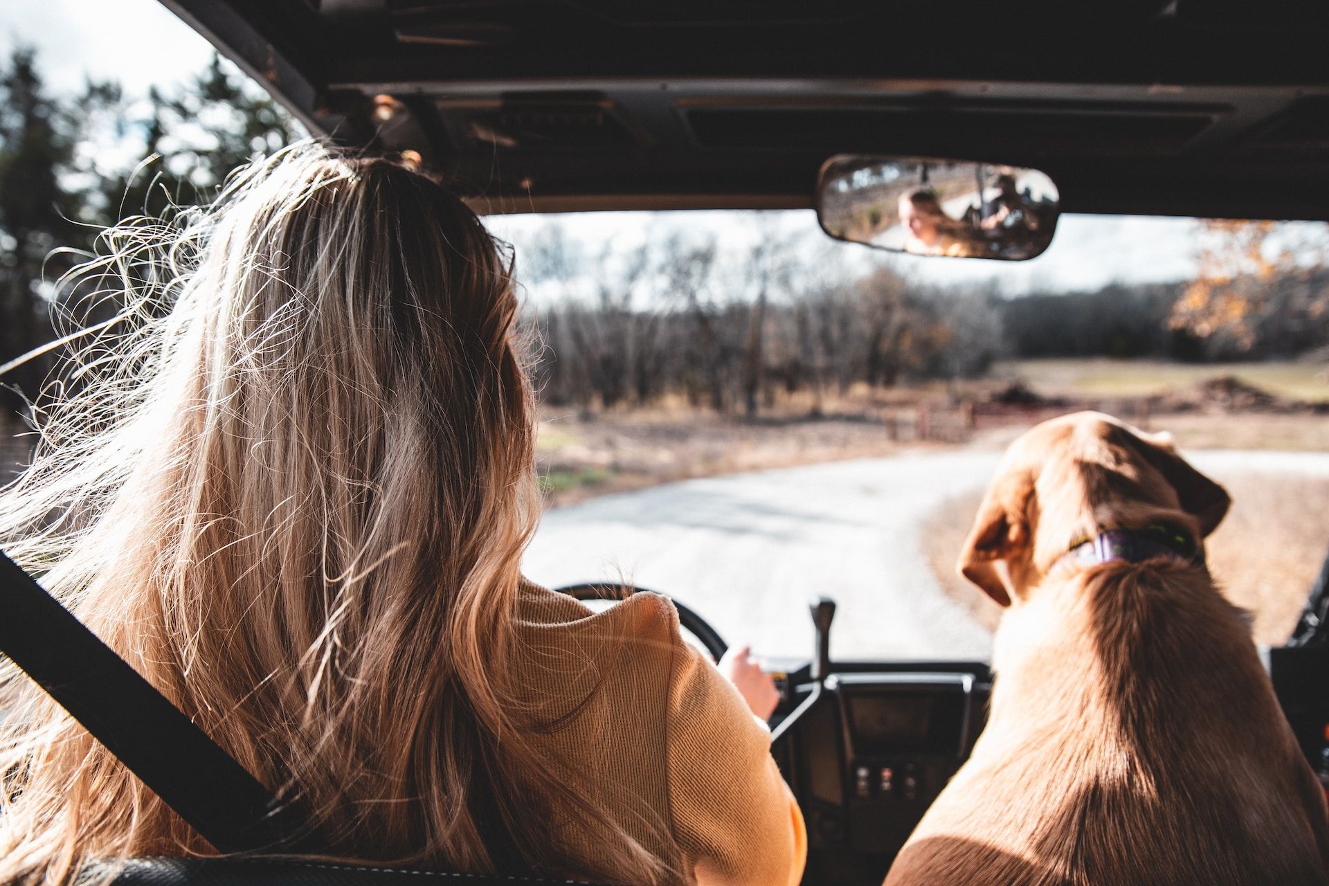 De top 5 auto's voor roadtrips